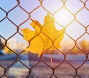 sprawdzony sklep z siatkami ogrodzeniowymi