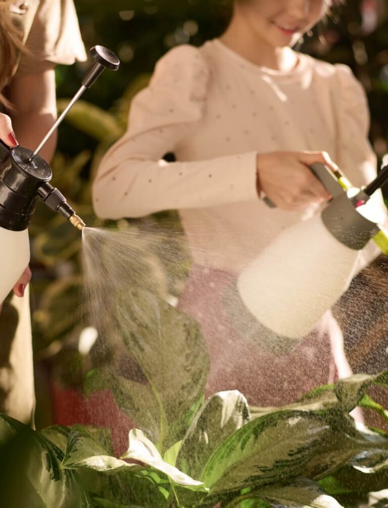 soda na mszyce w postaci domowego oprysku