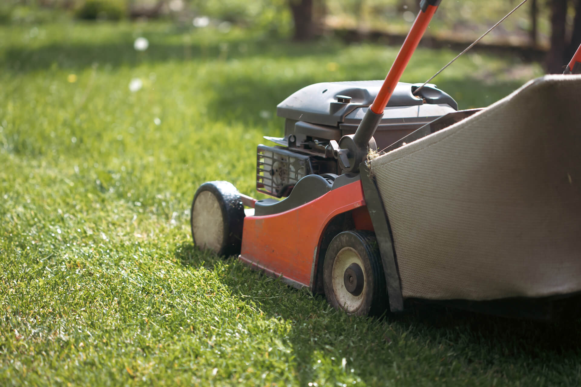Jaka kosiarka do małego ogrodu? Poradnik