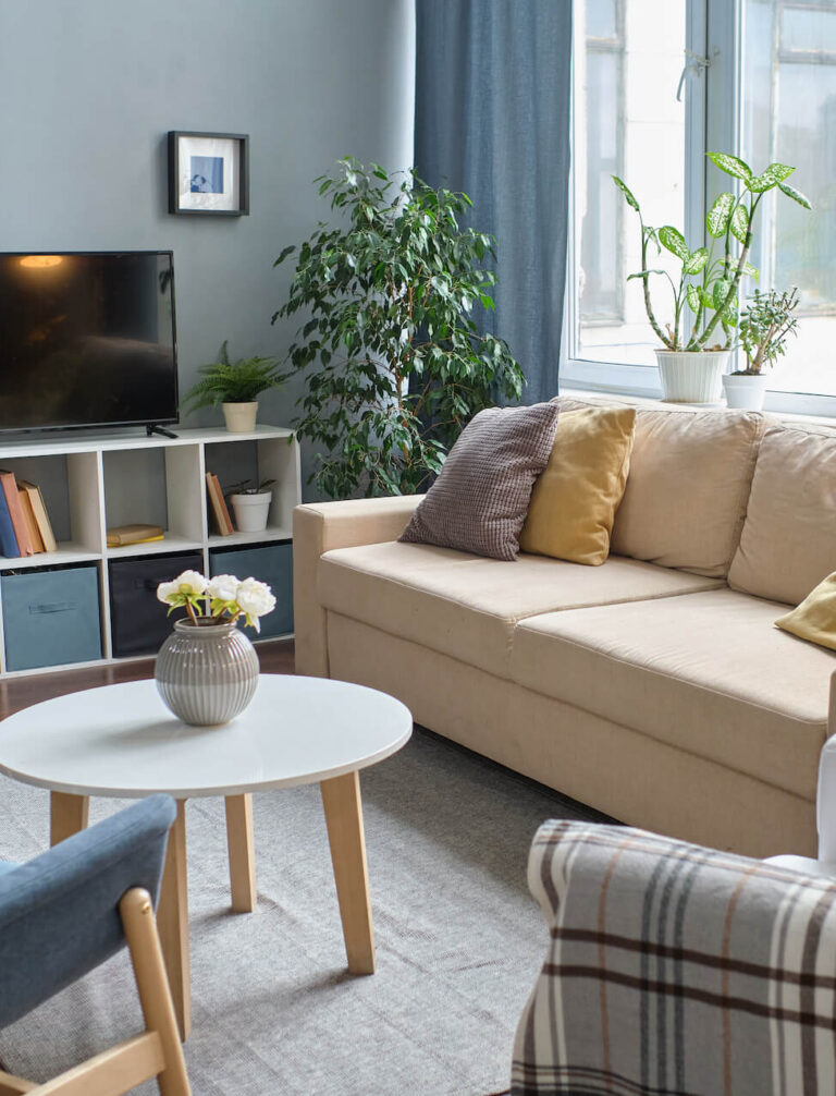 Jakie meble do salonu? Poradnik