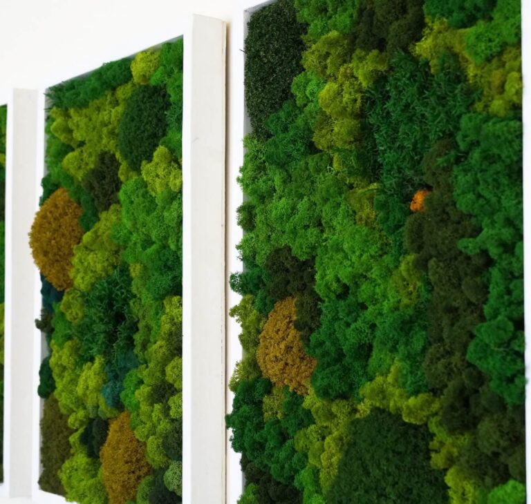 Mech stabilizowany – co to jest? Najważniejsze informacje i przykłady zastosowania