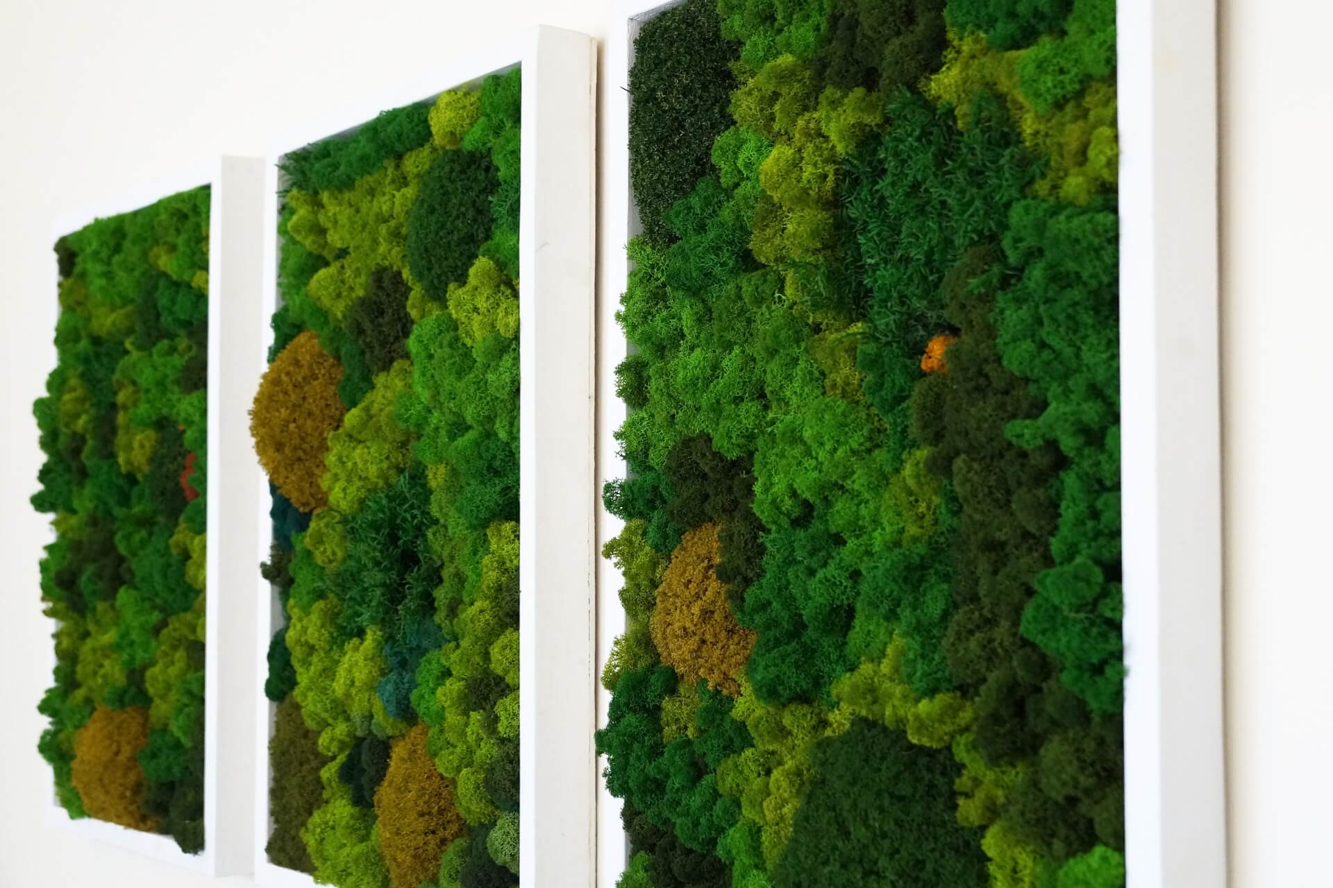 Mech stabilizowany – co to jest? Najważniejsze informacje i przykłady zastosowania